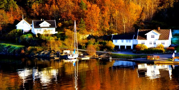 Torsvikveien, kristiansand