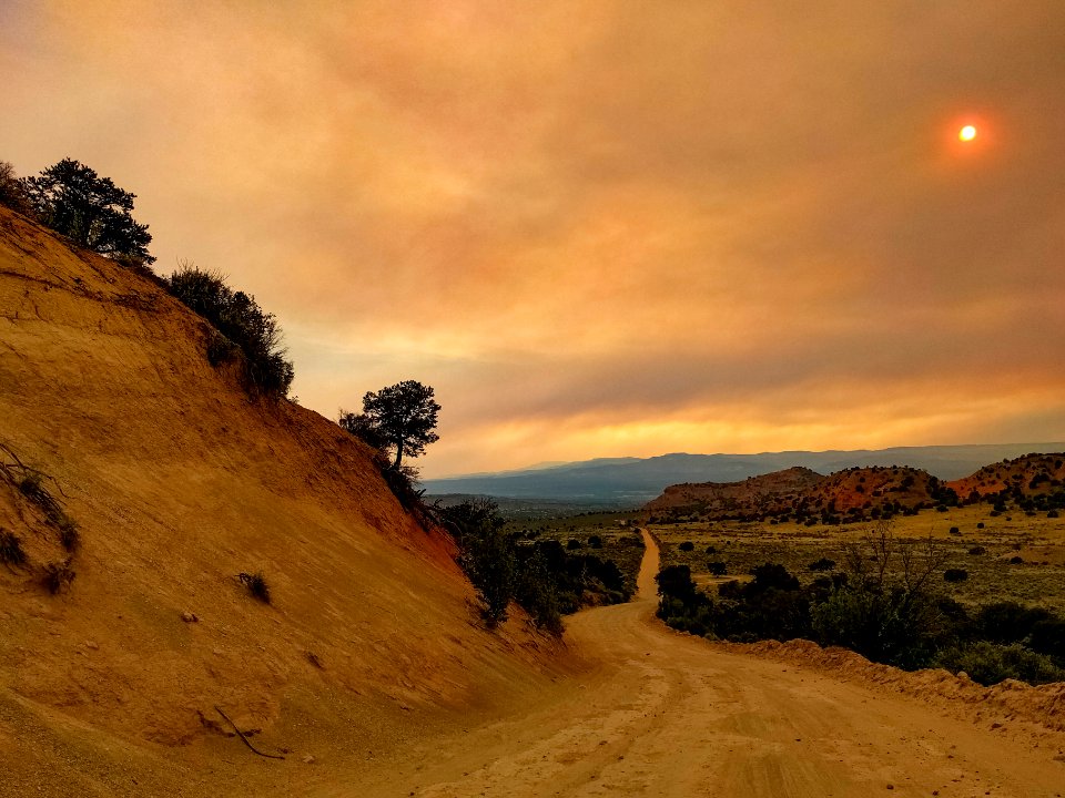 Cottonwood Canyon Road, Utah
