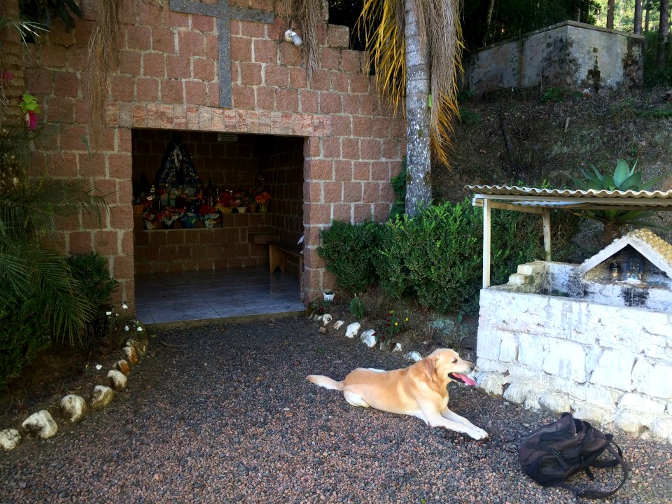 Duke na igreja do Caminho do Meio, em Ibirama-SC.