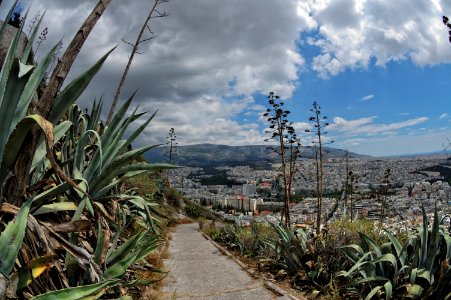 DSC 0084