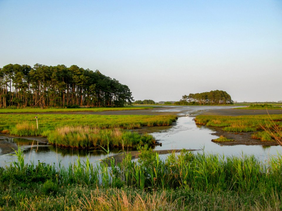 Chincoteague Island