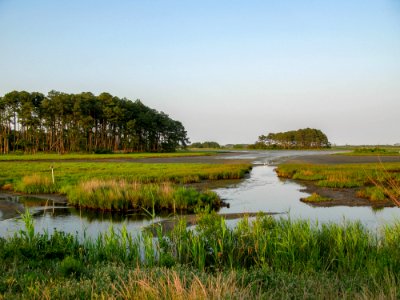 Chincoteague Island