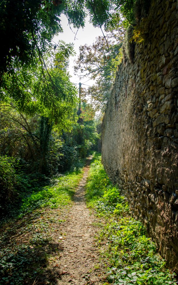 Le long de la muraille médiévale