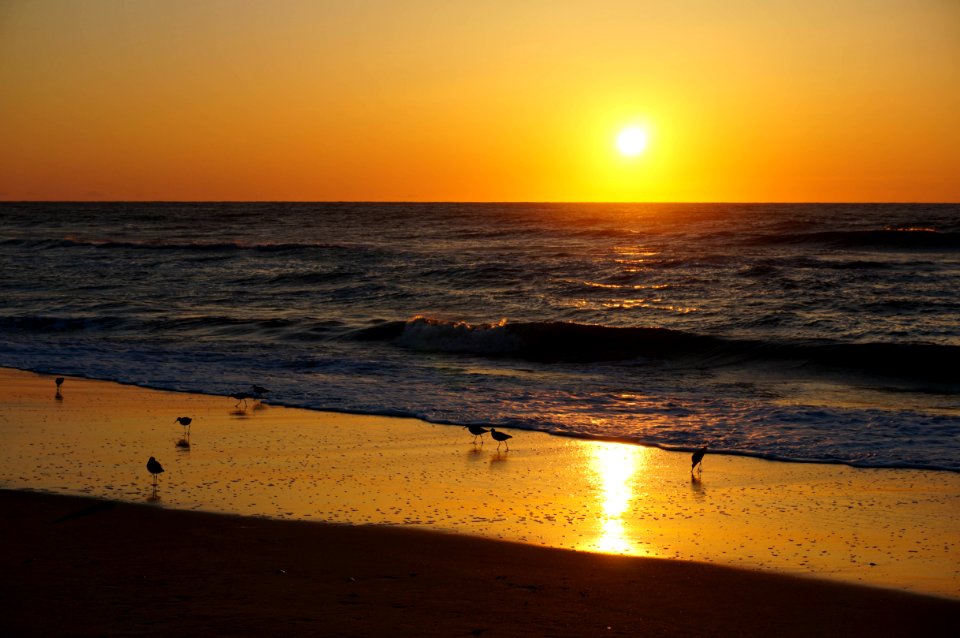Chincoteague Island, Virginia