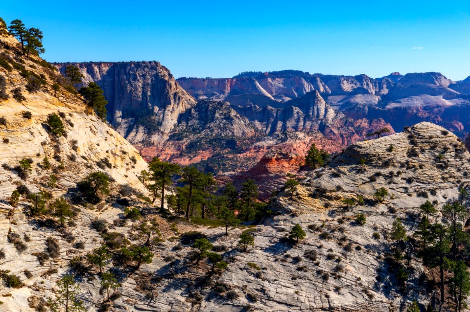 Zion National Park