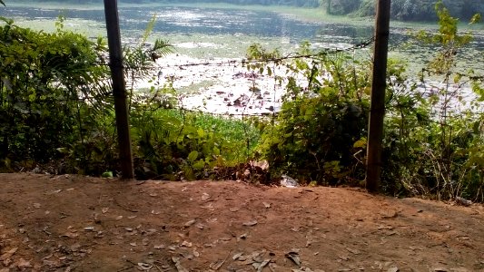 IMG 20161220 145636