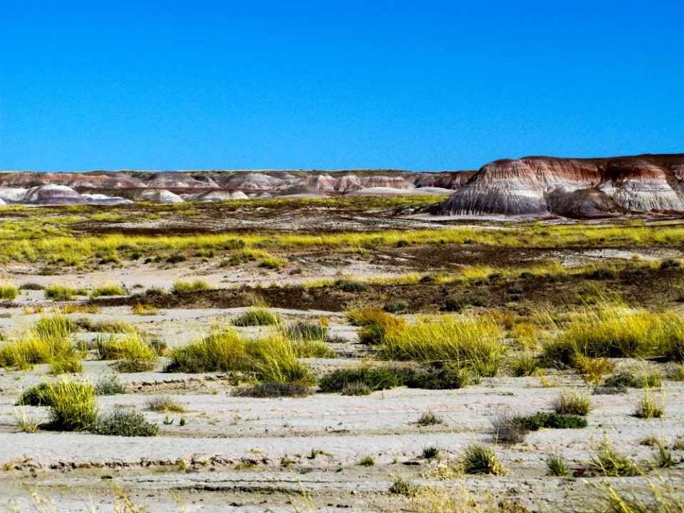 Painted Desert, Arizona
