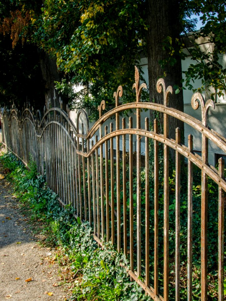 Grille feuillue de l'ancien abattoir municipal / Blattgitter des alten städtischen Schlachthofs