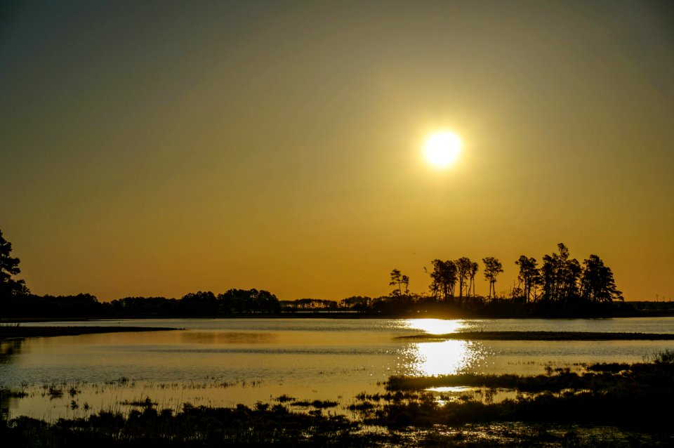 Chincoteague Island, Virginia