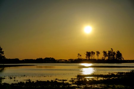 Chincoteague Island, Virginia