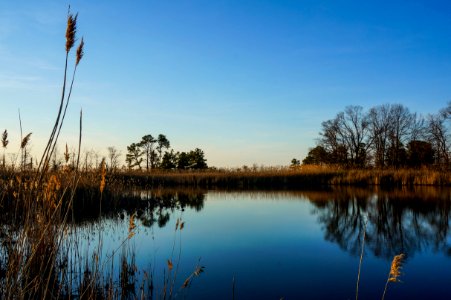 Terrapin Nature Park, Chesapeake Bay, Maryland