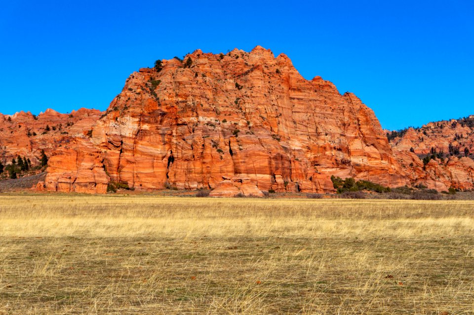 Zion National Park