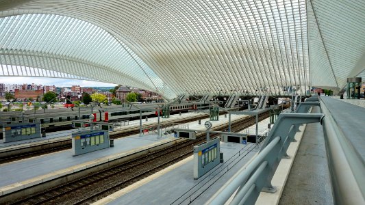 Liege