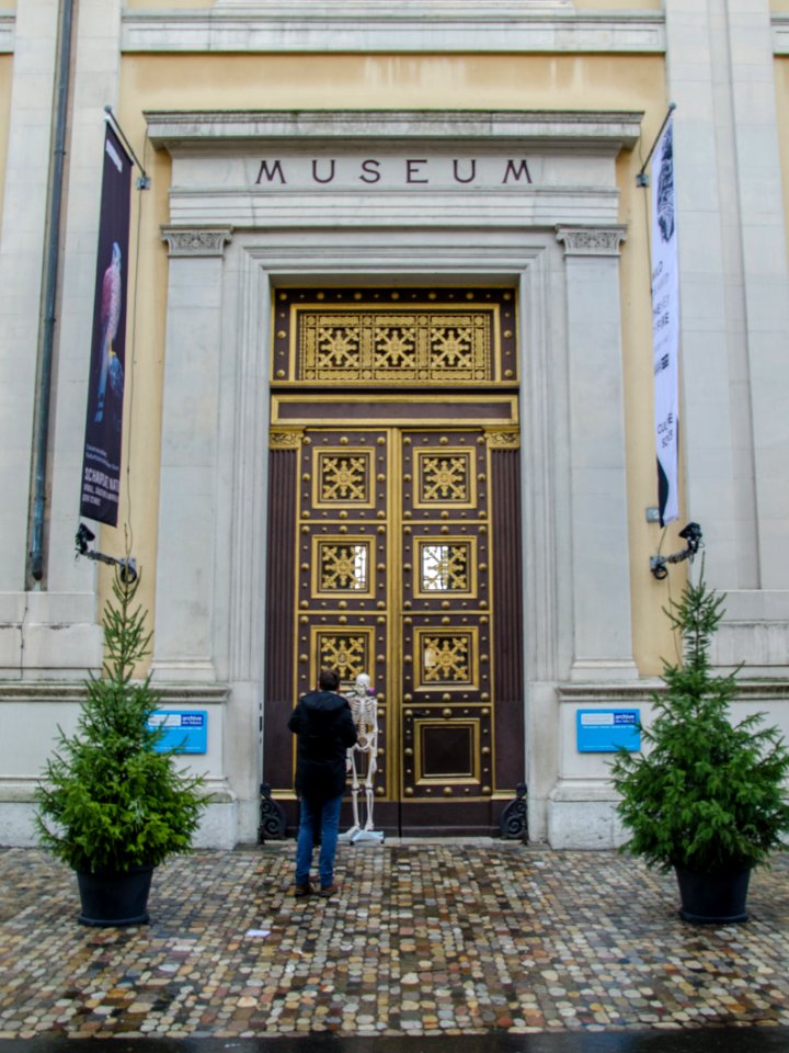 Porte du Musée d'histoire naturelle / Tür des Naturhistorischen Museums