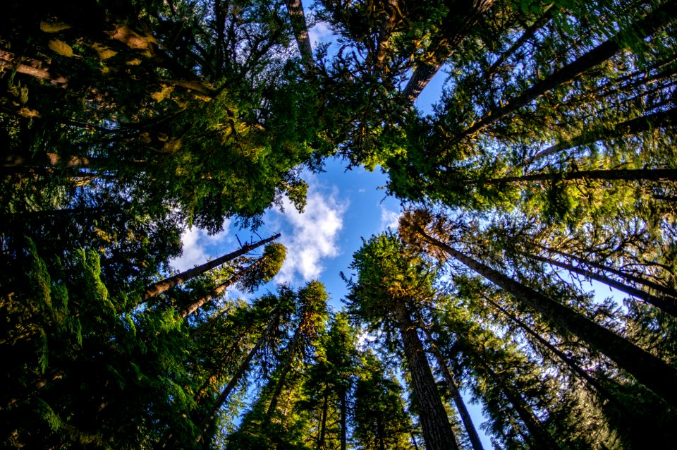 Olympic National Park