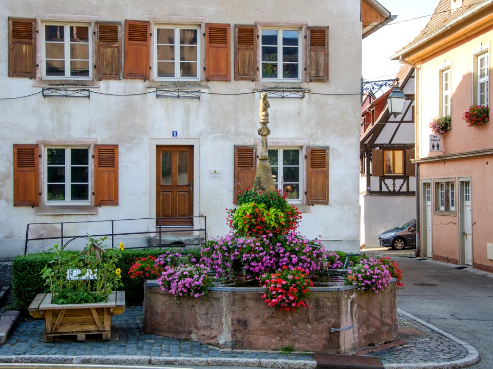 Fontaine de l'ours (Stockbrunnen) de Dambach-la-Ville
