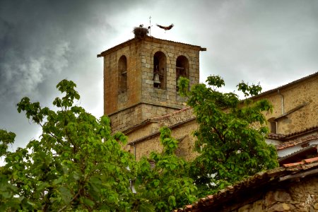 Las cigueñas de la torre de la iglesia Santa Maria, Hervas.
