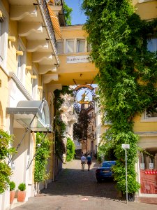 Le cerf doré de la Hirschstraße photo