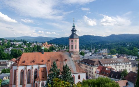 Vue sur la collégiale depuis la colline Florentinerberg