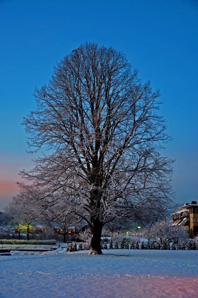 Early morning, tresse, kristiansand