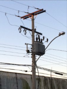 IMG 3648