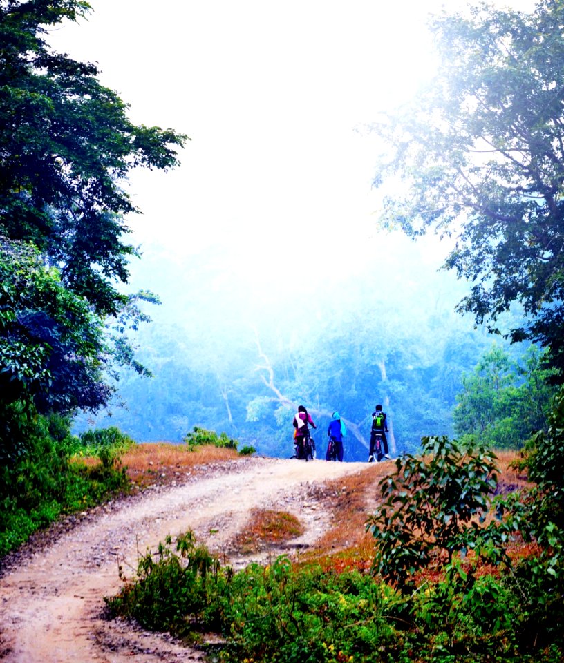 Bardiya National Park