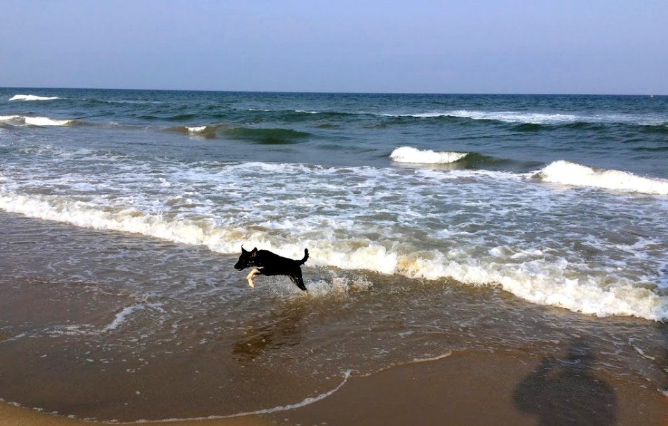 Chennai