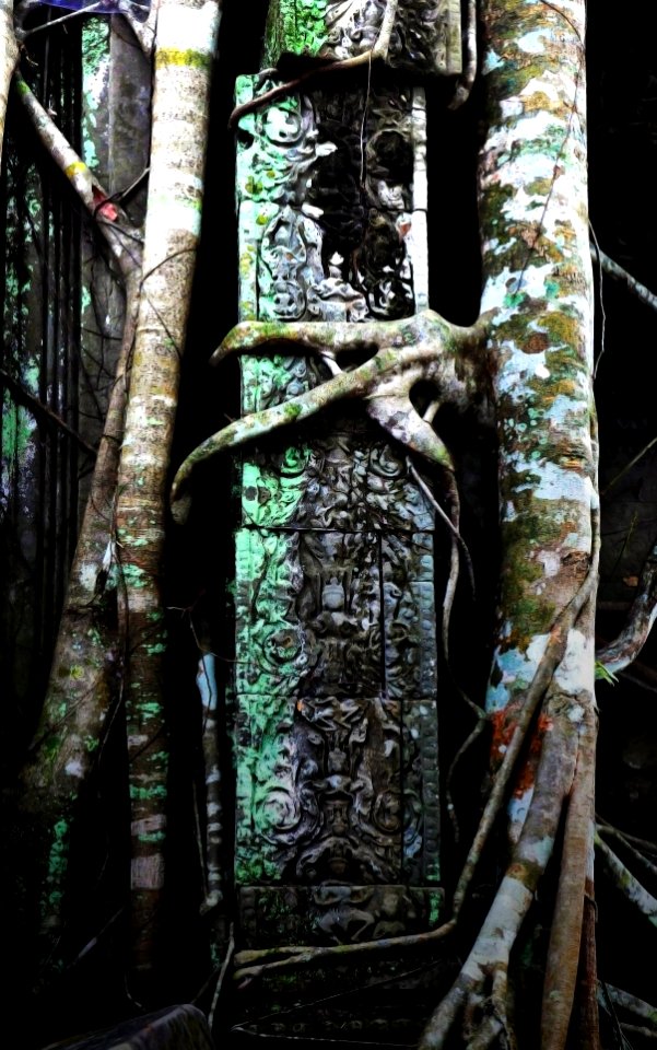 Jungle octopus,  beng mealea