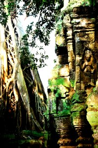 Jungle temple, Cambodia photo