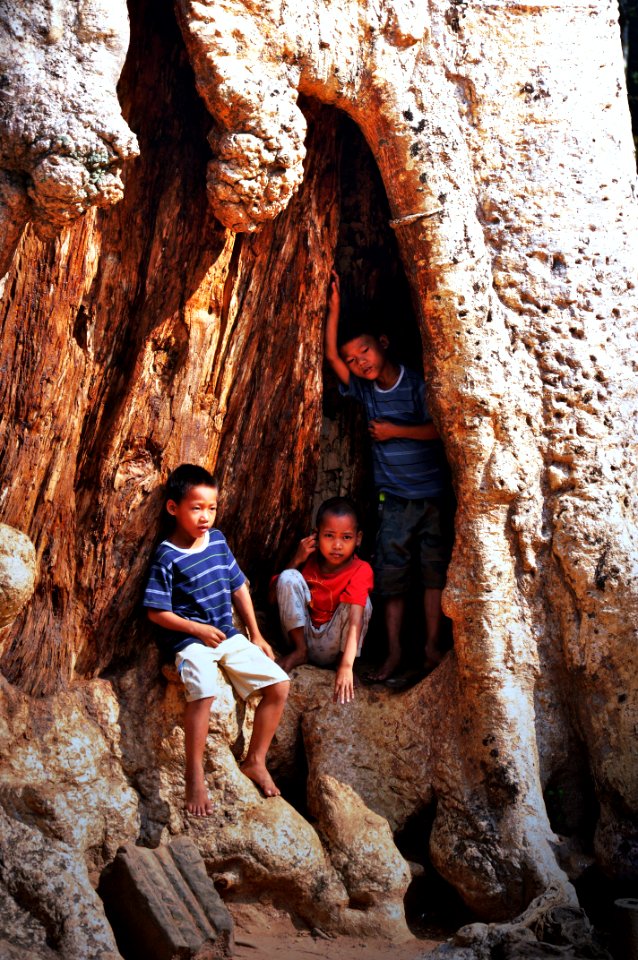 Kids posing for the tourists at ta phrom temple (temple of trees)