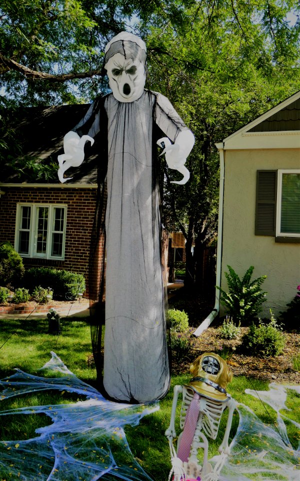 Not too early to start decorating for Halloween!