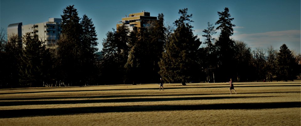 A Post-Global Warming January day in Denver's Cheesman Park photo