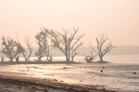 Sundarban salemypix.com (2)