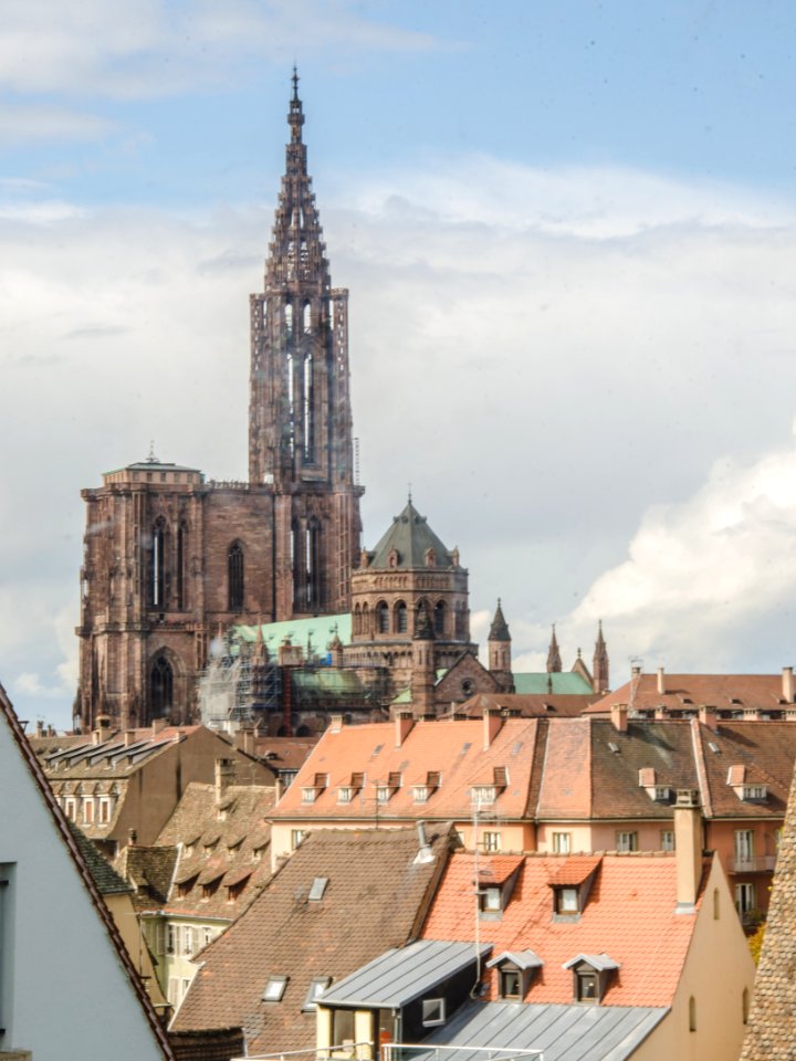 Vue sur la cathédrale - École supérieure des arts décoratifs de Strasbourg #4