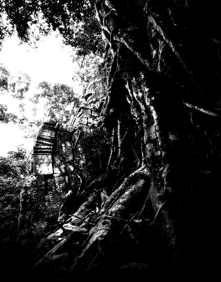 The gate of the dead