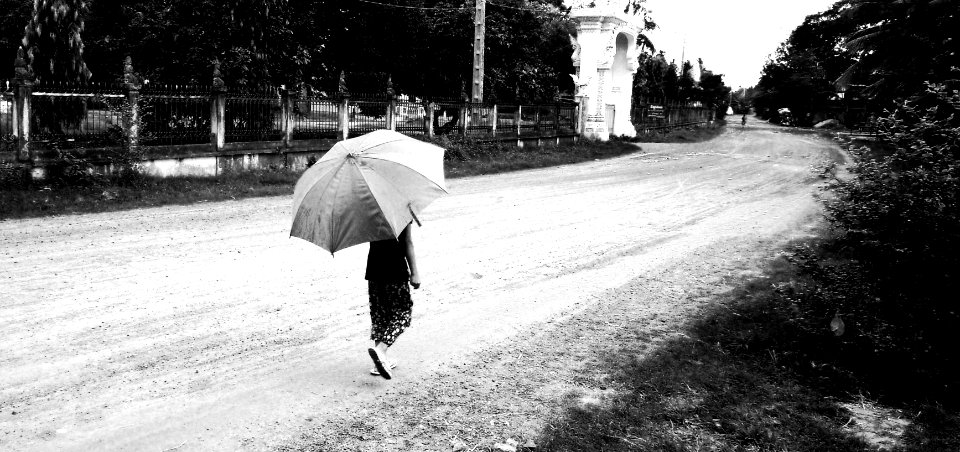 Umbrella