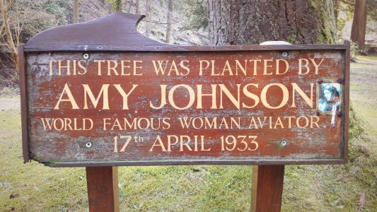 Amy Johnson's tree in Glen Helen, Isle of Man