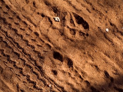Traces