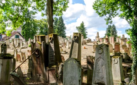 Cimetière juif de Koenigshoffen #4 photo