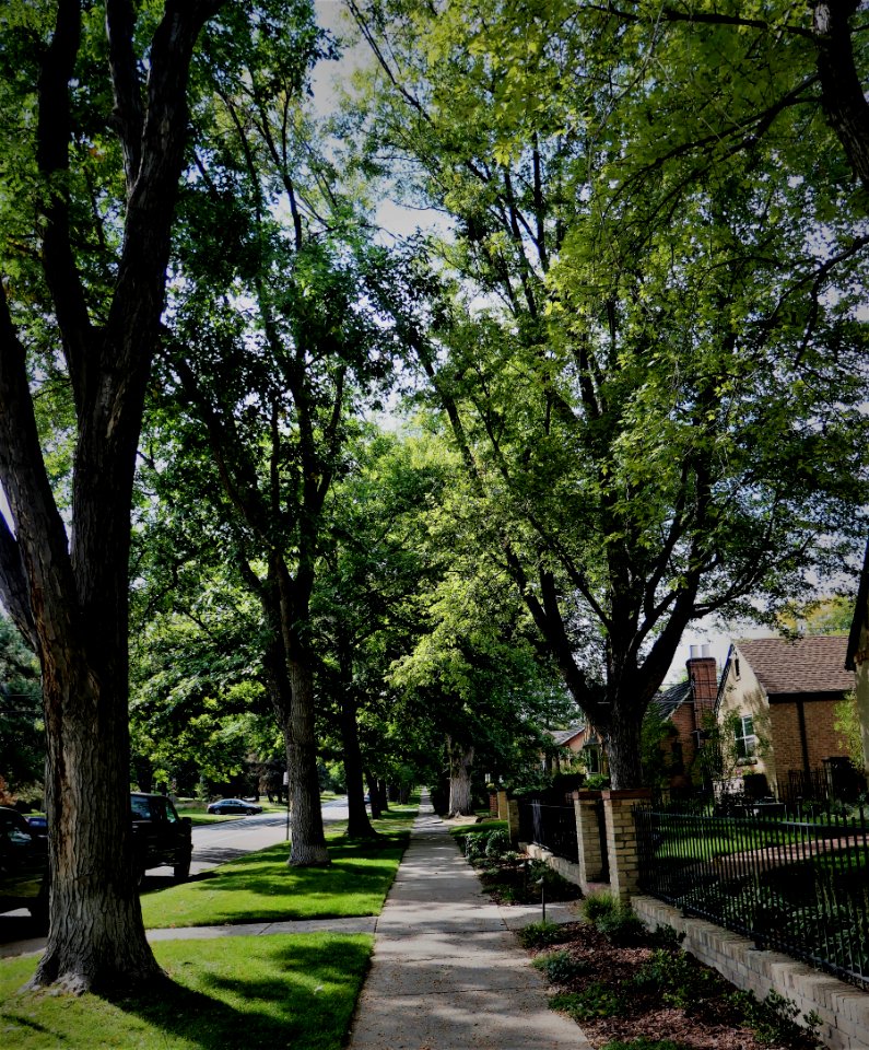Sidewalk along 7th Avenue Parkway here in Denver