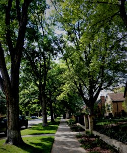 Sidewalk along 7th Avenue Parkway here in Denver