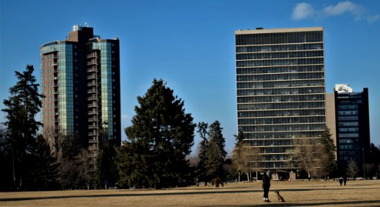 A Cold Day in Denver's Cheesman Park photo