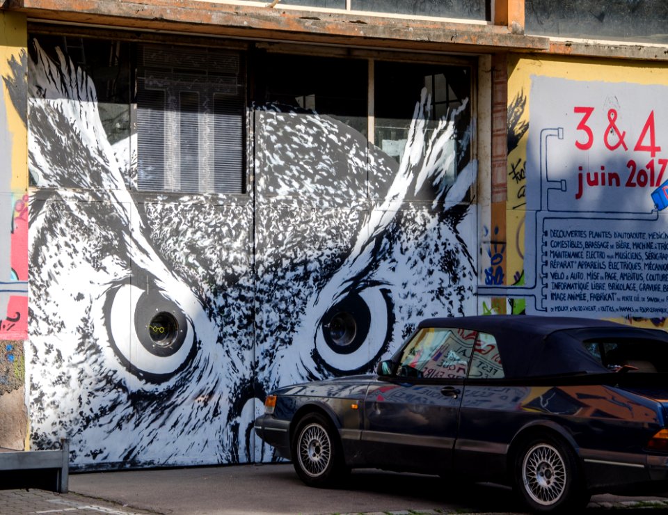 Semencerie #1 - Hibou, dis-moi qui est la plus chouette !