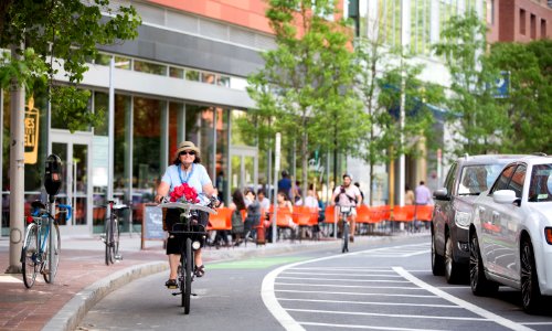 older woman with flowers protected bike lane cambridge ma