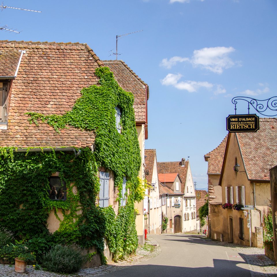 Rue principale de Mittelbergheim