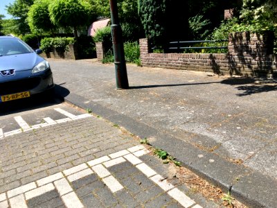 speed hump detail