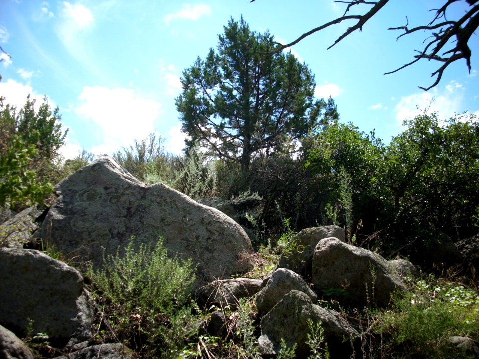 organ mountains-desert peaks national monument 18