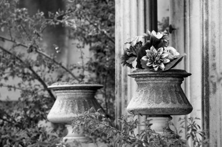 ARTIFICIELLES-cimetière St Pierre-Marseille- Stéphanie Baumard