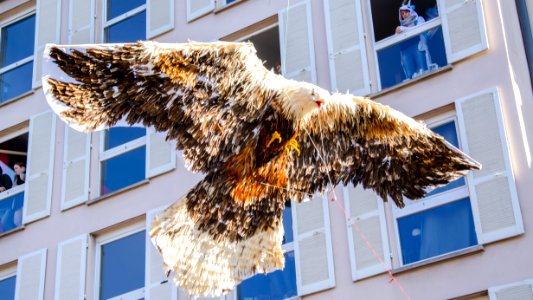 L'aigle en papier du Carnaval de Strasbourg photo