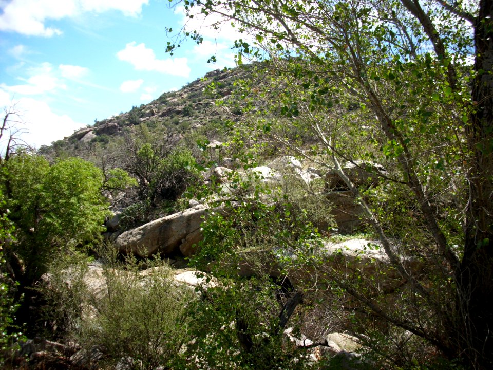 organ mountains-desert peaks national monument 19